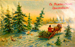 14.jpg, 141260 