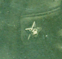  : tkachuk-web-med.jpg