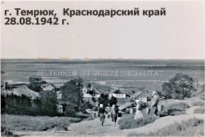  :  28.08.42.jpg
