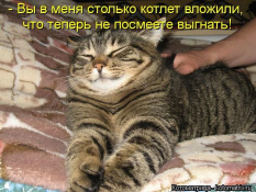  : .jpg