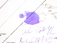 : file.jpg