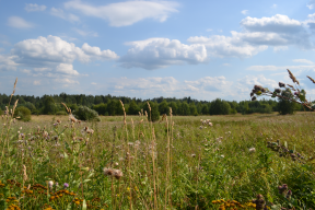  : DSC_1072.JPG