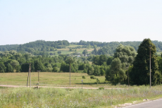  : IMG_1374_ .JPG