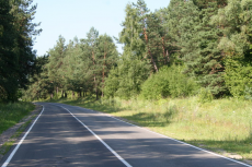  : IMG_1376_ .JPG