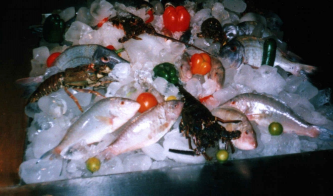 ������������� ����: P9292713.JPG