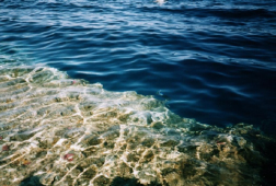 ������������� ����: ������� ����.JPG