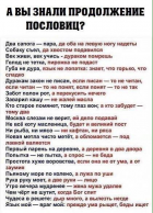  : .jpg