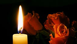  : s1200.jpg