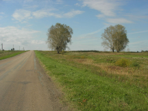  : DSCN4151-sm.jpg