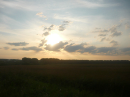 23.jpg, 74945 ����