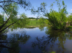  : panoramio-122355711.jpg