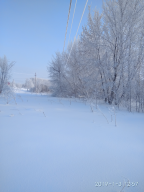  : IMG_20190103_125733_BURST2.jpg