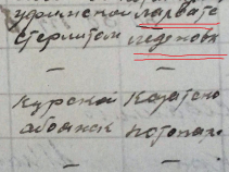  : DSCN0484  .JPG