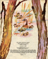 8.jpg, 119815 