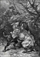  : , ,  ,  1880 ..jpg