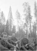 19410709.jpg, 22868 