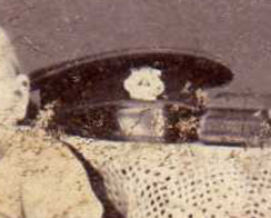  : img002-3.jpg