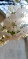  : 20190426_120739.jpg