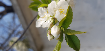 ������������� ����: 20190426_095526.jpg