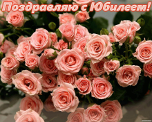  : yubilej-cover-209.gif