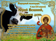 6.jpg, 169077 
