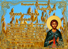7.jpg, 175513 