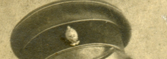  :   . 1909.jpg