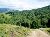  : Okresnosti d Aleksandrovka 2009 1.jpg