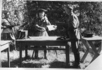    011.jpg, 61376 