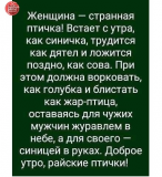  : 7.jpg