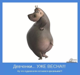  : 1488455846_begemot.jpg