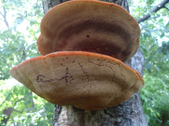  : DSC07328.JPG