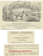  : 1895 09 25 K Glinojecki - wyścigi, Despot i Lady Lujk -Petersburg - Jeździec i Myśiwy.jpg