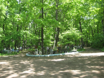  : IMG_1680.jpg
