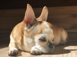 757099BB-A600-4887-8BD6-A3FAF384C45C.jpeg, 3646203 