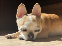 F3A9F7A8-1AB7-42C9-9B04-A8387DDADDD8.jpeg, 2641484 