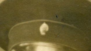 source169_2.jpg, 347361 