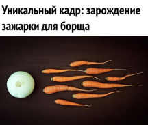  : image (4).jpg