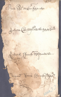   6.jpg, 245197 