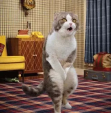  : , ,   ,    ,   ..jpg