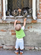 ������������� ����: zS6TWznbbxs.jpg