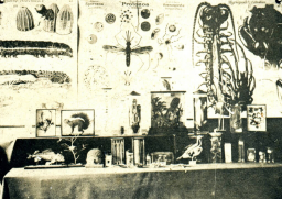 05.jpg, 164571 