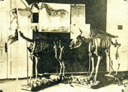 06.jpg, 183850 