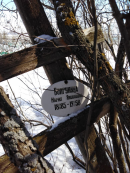 ������������� ����: image (3).jpeg