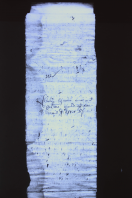 5175B4F2-CA47-4CDA-857B-5BBE710F486E.jpeg, 2365020 