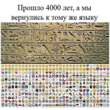  : CgCl2WM6OWw.jpg