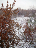  : PICT0004.JPG