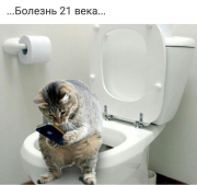  : i-1.jpg