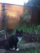  : IMG-20190720-WA0026.jpg