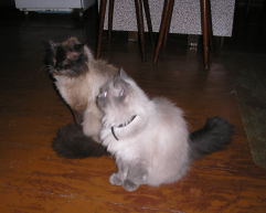  :    2006.jpg